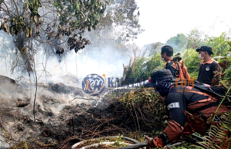 Tiga Lokasi Karhutla di Barito Utara Masih Ditangani Tim Gabungan