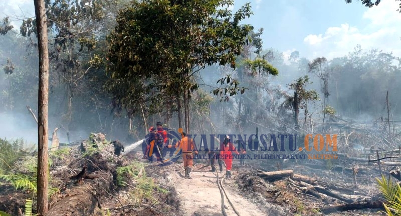 BPBD Barito Utara Tangani Dua Titik Karhutla, Total Lahan Terbakar Capai 1,9 Hektare