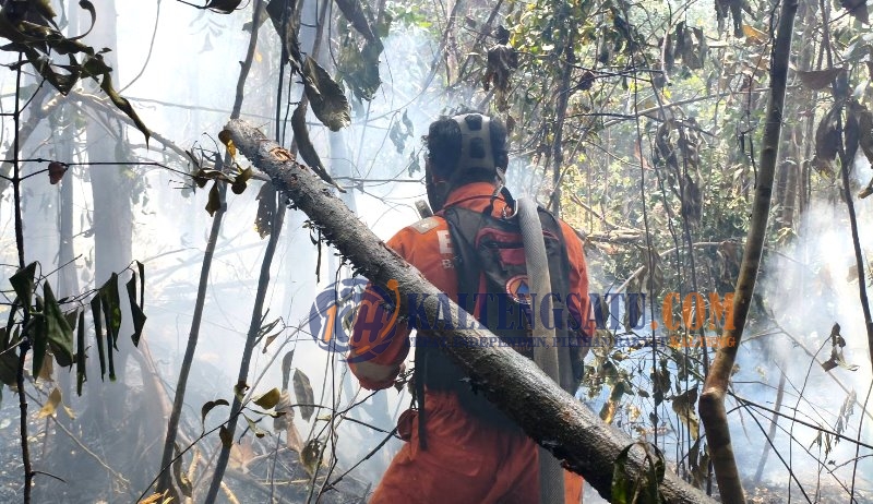 BPBD dan Tim Gabungan Lanjutkan Pemadaman Kebakaran Hutan di Wilayah Observasi Chanee Kalaweit