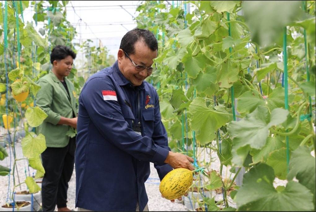 Bibit Unggul dan Saprodi Dorong Produksi Bawang Merah Kalteng
