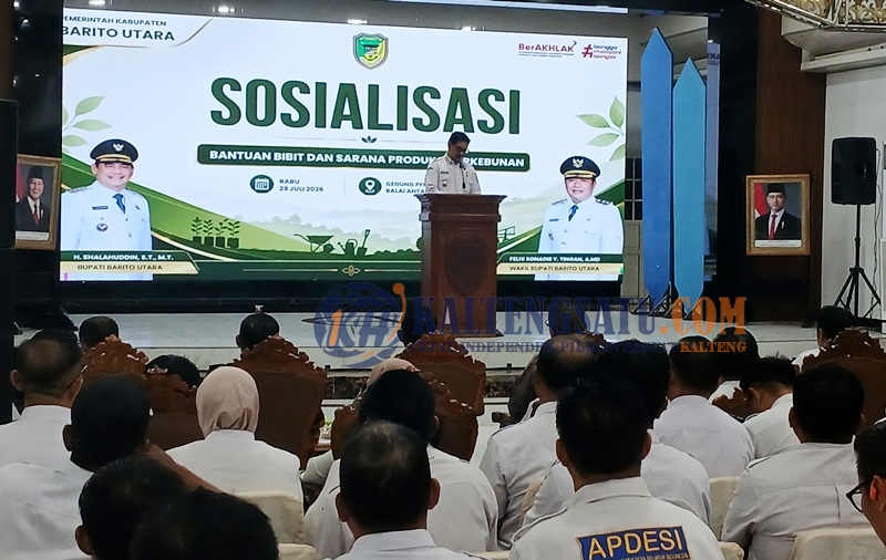 Bupati: Bantuan Bibit dan Saprodi Perkuat Produktivitas Perkebunan dan Kesejahteraan Petani