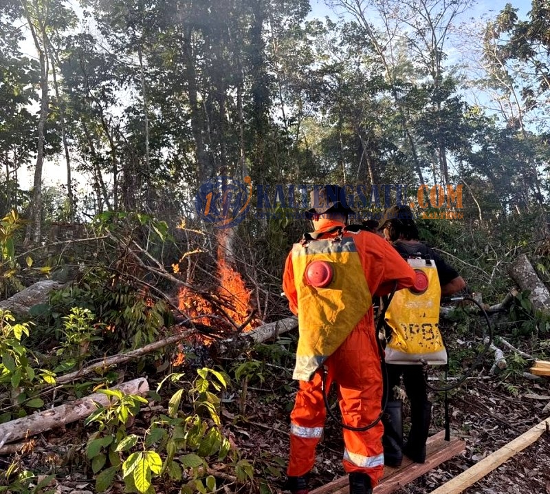 BPBD Barito Utara Padamkan Karhutla di Desa Trahean, Luas Lahan Terbakar Capai 0,89 Hektare