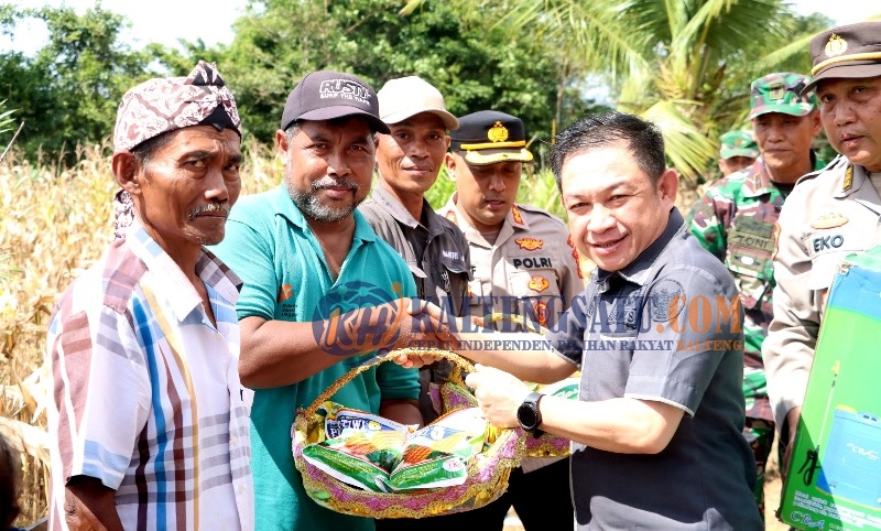Wakil Ketua I DPRD Barito Utara Apresiasi Panen Jagung Serentak di Desa Jamut