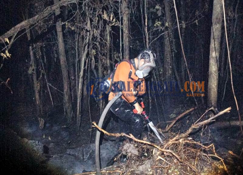 BPBD Barut Lanjutkan Pemadaman Kebakaran Hutan di Wilayah Observasi Yayasan Chanee Kalaweit