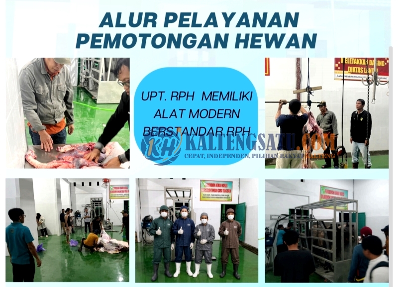 Dinas Pertanian Barito Utara Permudah Layanan Pemotongan Hewan Melalui UPT RPH Modern