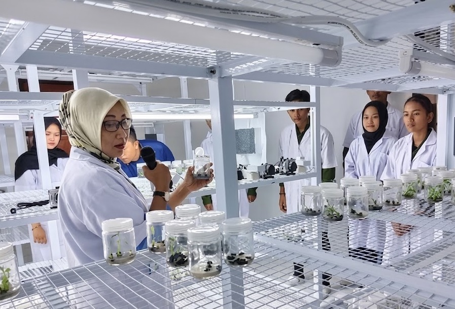 Dinas TPHP Kalteng Beri Pembelajaran Kultur Jaringan bagi Mahasiswa UMPR