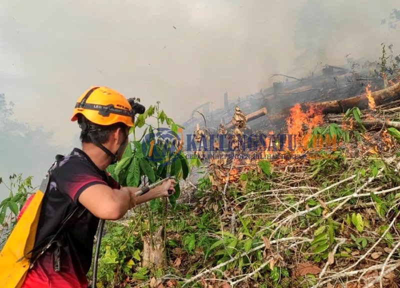 Respons Cepat BPBD Barut Padamkan Karhutla di Kelurahan Jambu, Lahan 0,9 Hektare Berhasil Diamankan